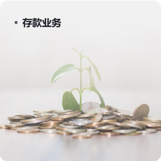 存款业务